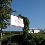 Markgräfler Land-10