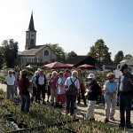 Markgräfler Land-11