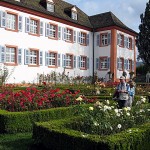 Markgräfler Land-17